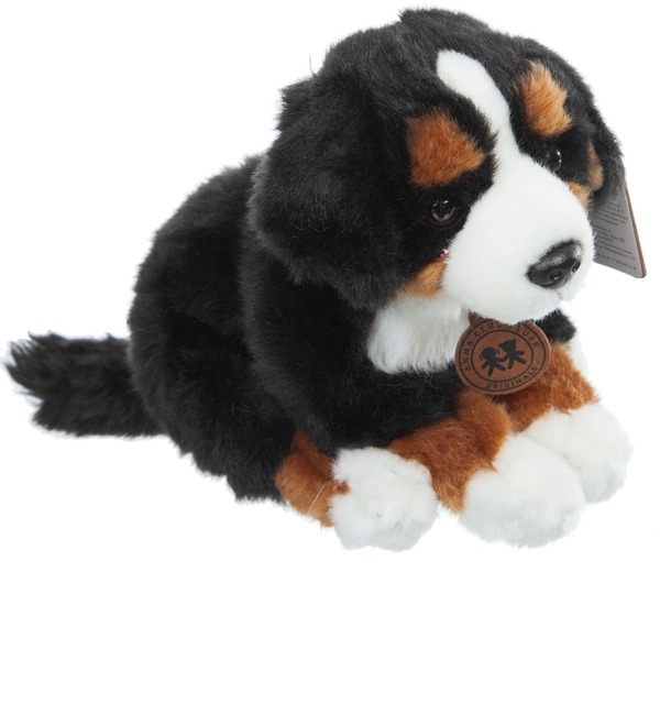 Мягкая игрушка Собака Зенненхунд (20 см) – фото № 3
