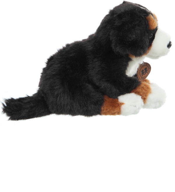 Мягкая игрушка Собака Зенненхунд (20 см) – фото № 2