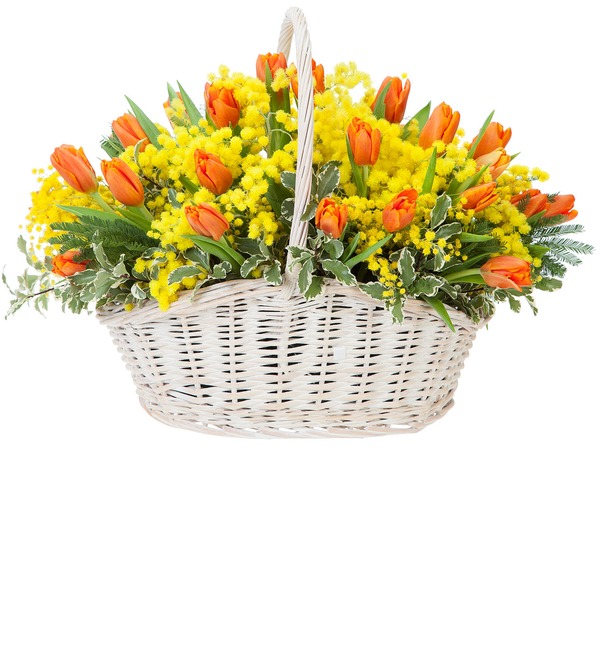 весенний букет с мимозой и тюльпанами. букет мимозы. цветущая мимоза, нарциссы. корзинка плетеная с мимозой. экибана с мимозой.