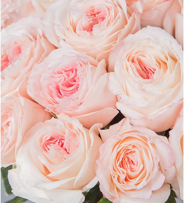 Букет-соло пионовидных роз Mayras Bridal (15,25,35,51,75 или 101) – фото № 2