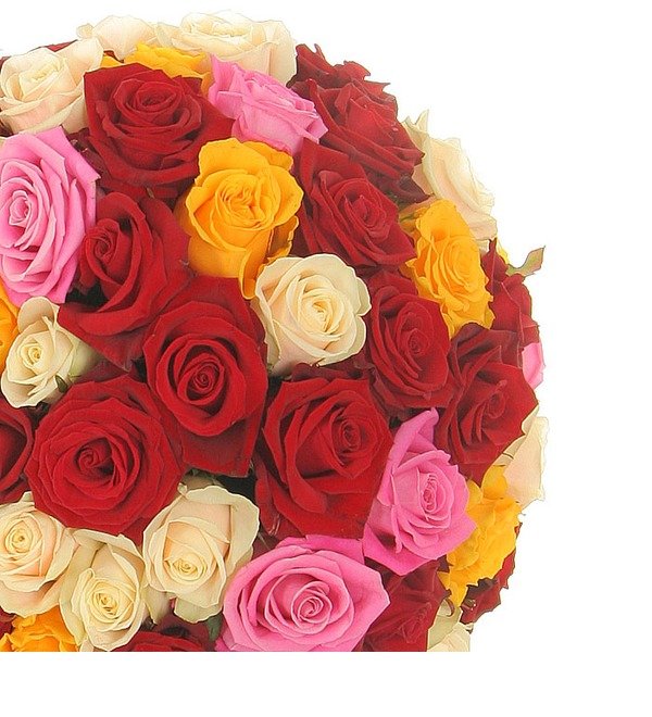 Composition The palette of love (251 roses) AR624 KOM – photo #2