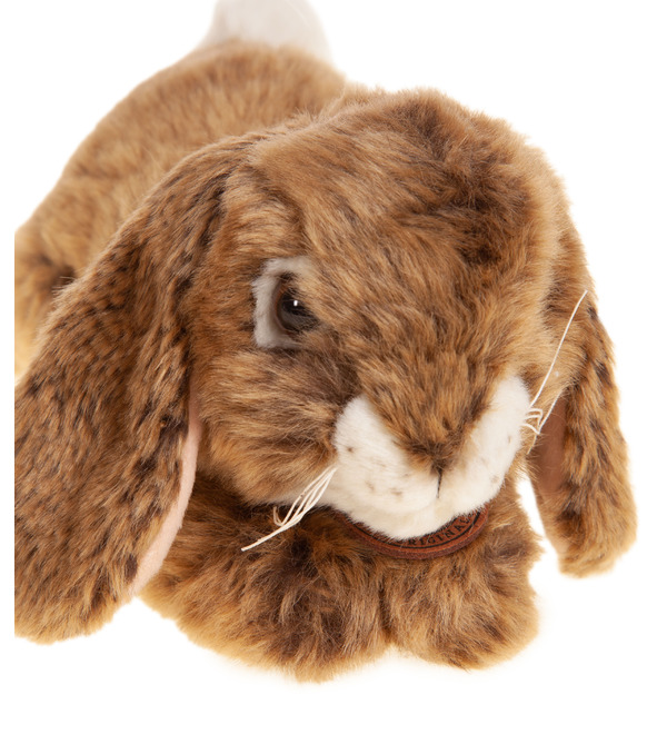 Мягкая игрушка Кролик Милашка (25 см) – фото № 2