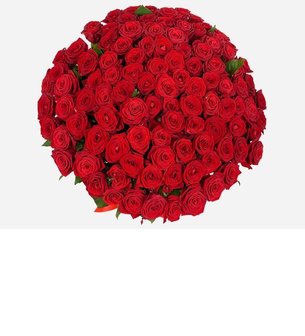 Букет из 101 красной розы 80 см KZRK101 ASH – фото № 2