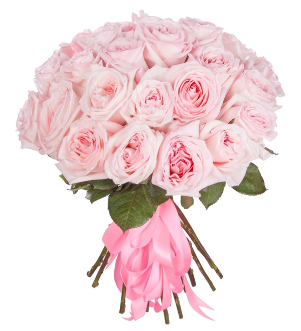 Букет-соло ароматных роз Pink OHara (15,25,35,51,75 или 101) – фото № 5