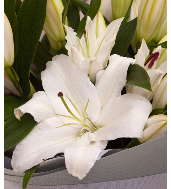 Bouquet-solo of white lilies (5,7,9,15,25 or 35) – photo #2