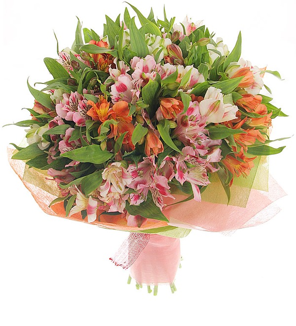 Bouquet of mixed coloured alstroemerias LV BC245 GRO – photo #1