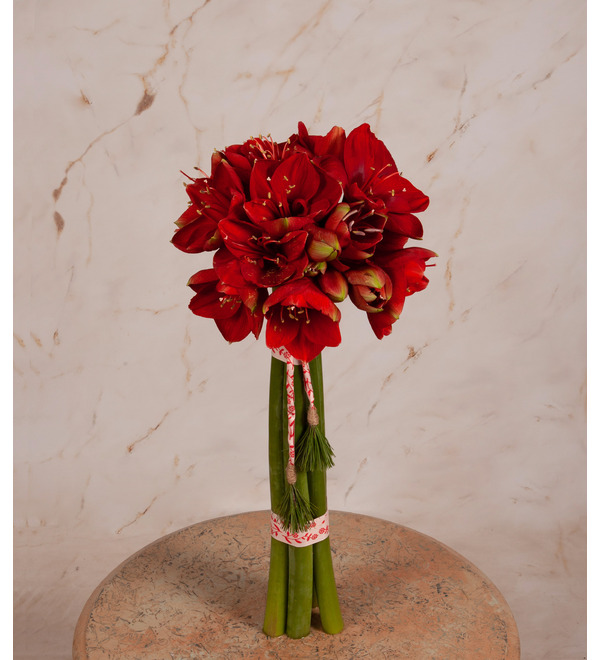 Bouquet-solo of amaryllis Ferrari (5,7,9 or 15) – photo #1