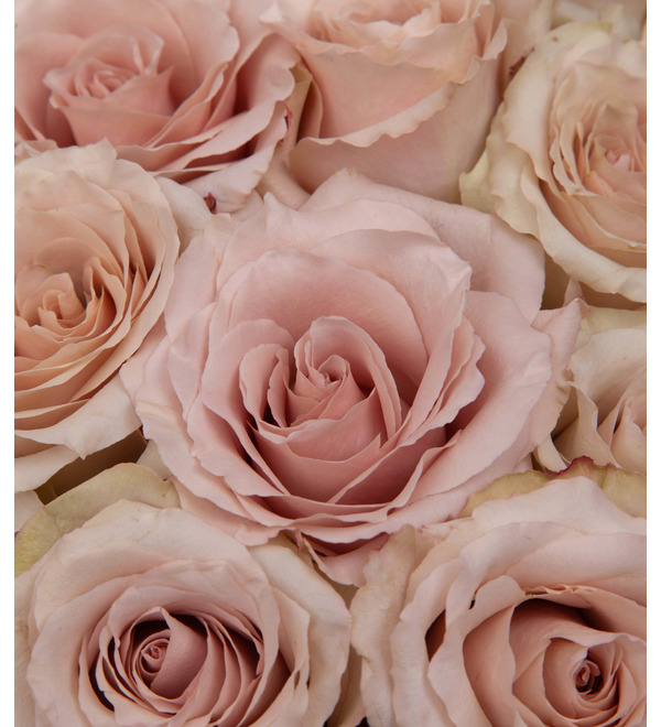 Bouquet-solo of peony roses Quicksand (9,15,25,35,51 or 75) – photo #2