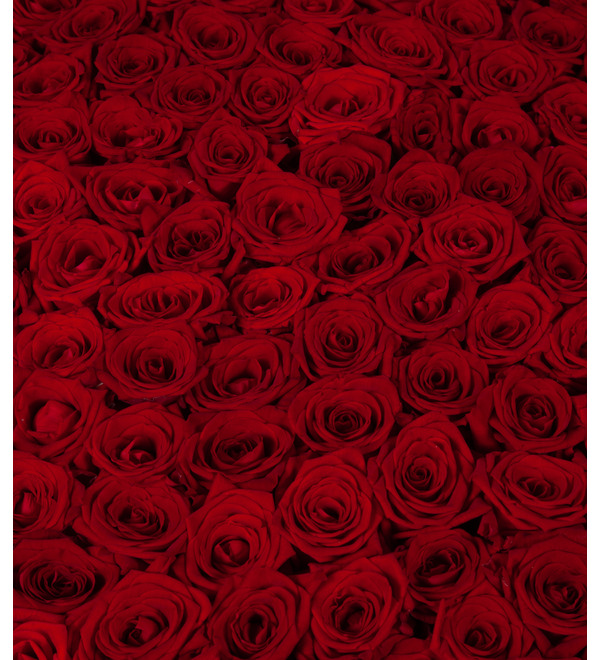 Композиция из 501 розы Гран При Любовь всегда права! AR633 KUR – фото № 4