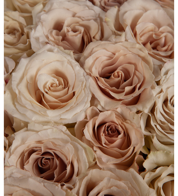 Букет-соло роз Quicksand (15,25,35,51,75 или 101) – фото № 3
