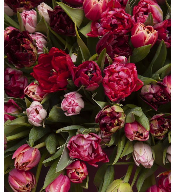 Composition of 1001 tulips Vivo of love – photo #2