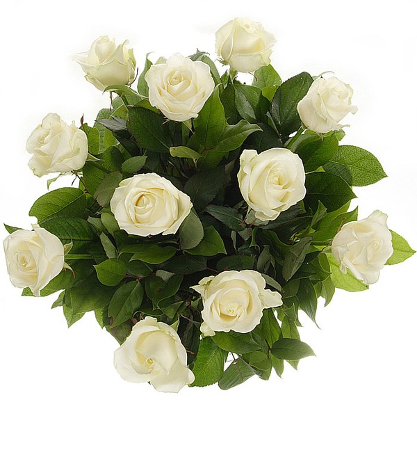 Букет из 11 белых роз Мои комплименты... RU R11W KAW – фото № 1