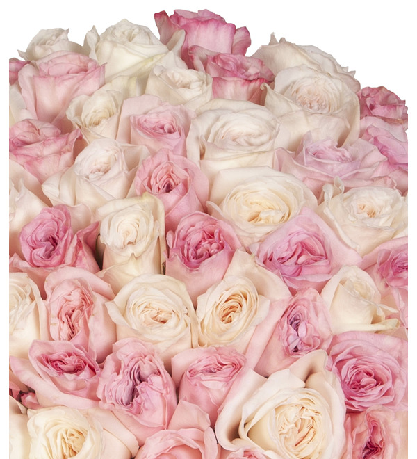 Букет-дуэт ароматных роз Элегантность (51,75,101 или 151) – фото № 2