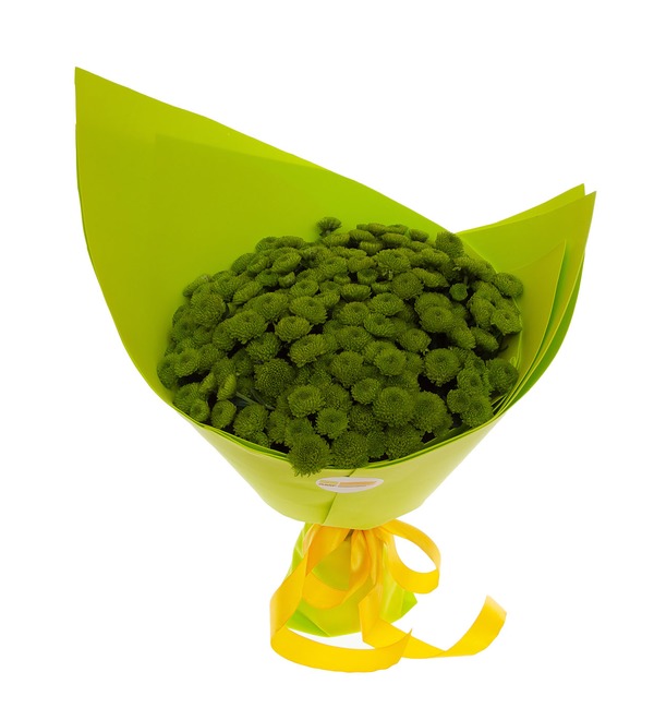 Букет-соло зелёных хризантем (15,25,35,51,75 или 101) – фото № 5