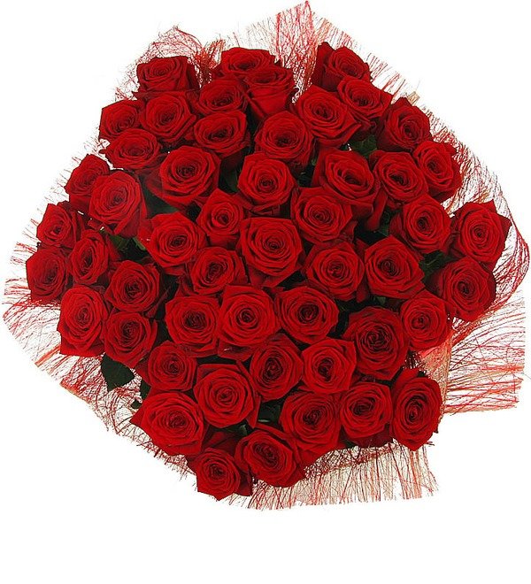 Букет из 51 красной розы Ред Наоми (80см) UK BR127 LOU – фото № 4