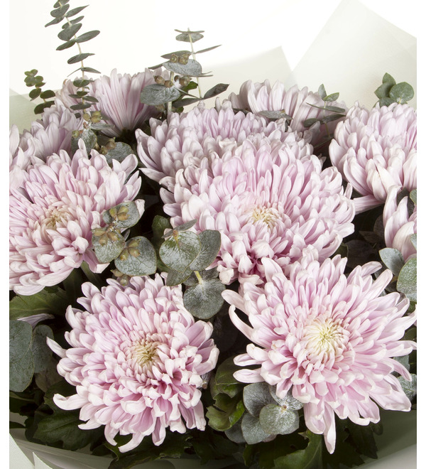 Bouquet-solo of Chrysanthemum Honeymoon – photo #2
