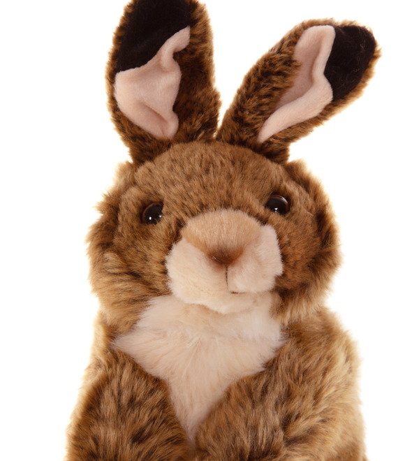 Мягкая игрушка Кролик коричневый (25 см) – фото № 2