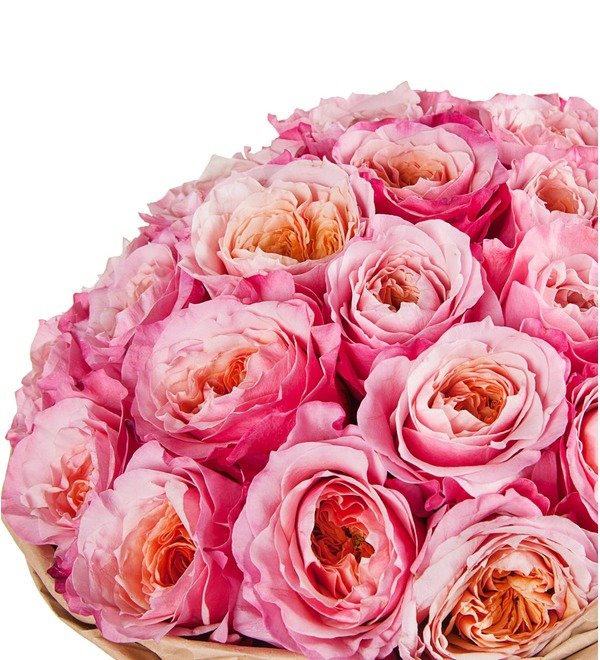 Букет-соло пионовидных роз Miyabi (15,25,35,51,75 или 101) – фото № 2
