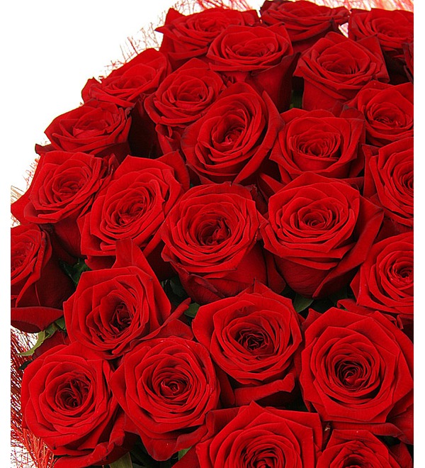 Букет из 51 красной розы Ред Наоми (80см) UK BR127 WIN – фото № 5