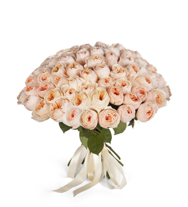 Bouquet-solo of David Austin Juliet roses (51, 75, or 101) – photo #5