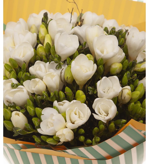 Bouquet-solo of white freesias (25,35,51,75 or 101) – photo #3