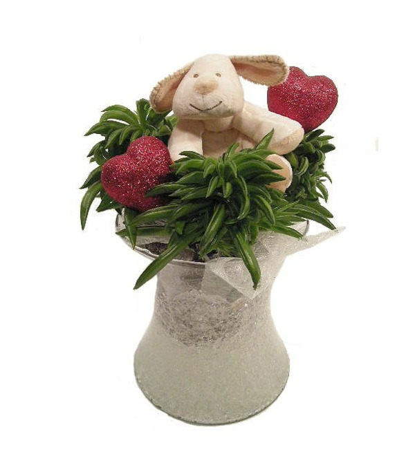 Растение в стеклянной вазе с игрушкой и декоративными сердцами. RF7 HER – фото № 1