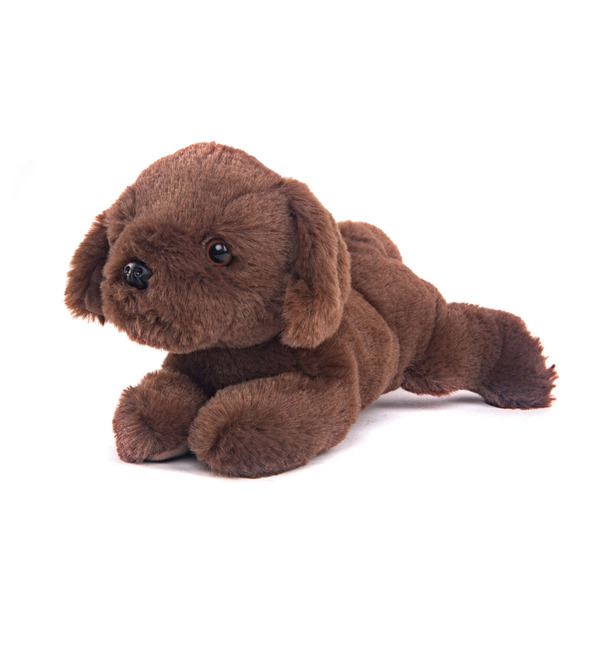 Soft toy Brown dog (28 cm) – photo #2