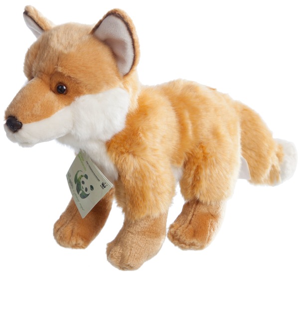 Toy Fox WWF (23 cm) – photo #4
