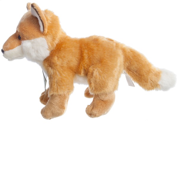 Toy Fox WWF (23 cm) – photo #3