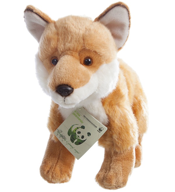 Toy Fox WWF (23 cm) – photo #1