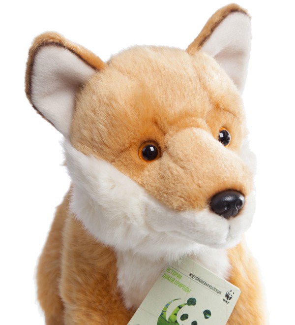 Toy Fox WWF (23 cm) – photo #2