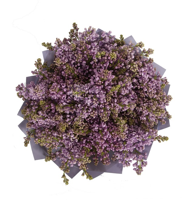 Bouquet-solo Violet Lilac (15,25,51 or 75) – photo #3