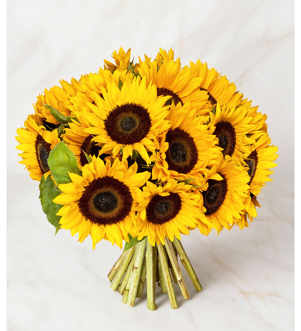 Bouquet of sunflowers (25, 51 or 75) – photo #3