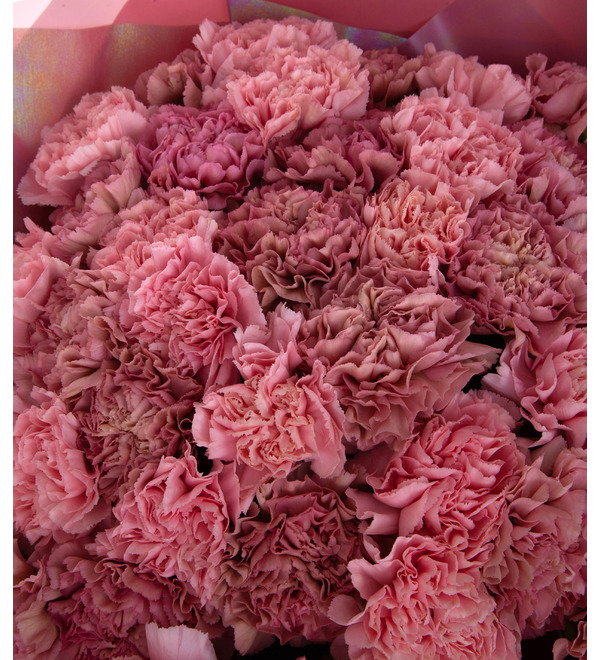 Bouquet-duet of carnations Refinement (15,25,35,51,75 or 101) – photo #3