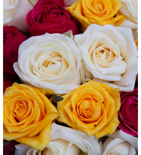 Букет-трио Балет роз (15,25,35,51,75 или 101) – фото № 3