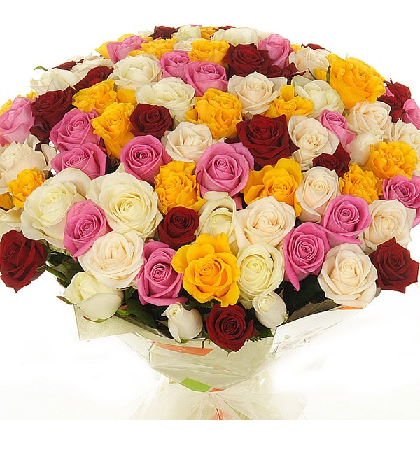 Bouquet of 101 Mixed Rose Primma Donna BG BR104 BUL – photo #1