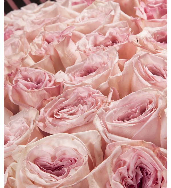 Букет-соло Pink OHara (15,25,51 или 75) – фото № 3