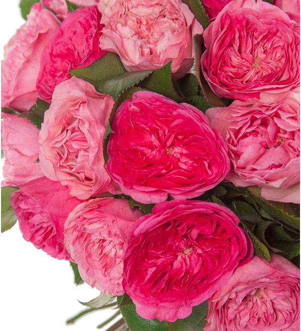Букет-дуэт пионовидных роз Великолепие (25,51,75,101 или 151) – фото № 2