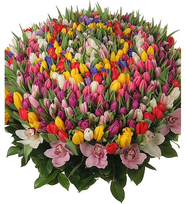 Композиция из 301 тюльпана Счастливая весна – фото № 5