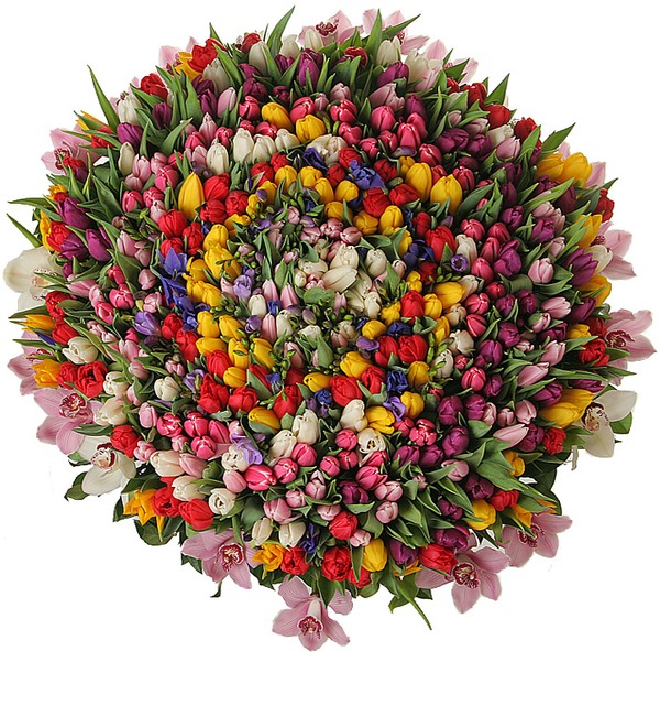 Композиция из 301 тюльпана Счастливая весна – фото № 3