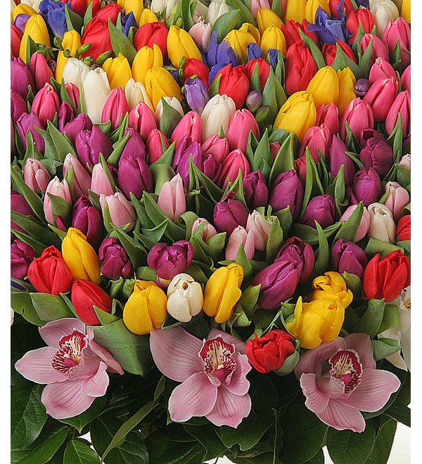 Композиция из 301 тюльпана Счастливая весна – фото № 2