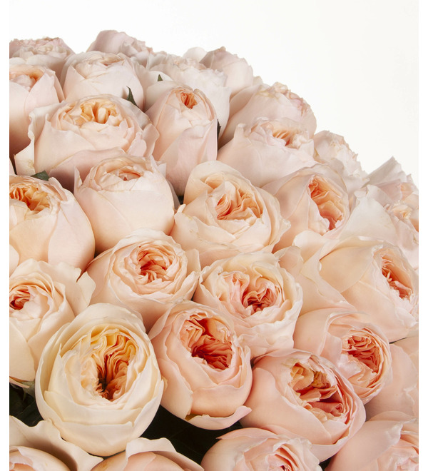 Bouquet-solo of David Austin Juliet roses (51, 75, or 101) – photo #2