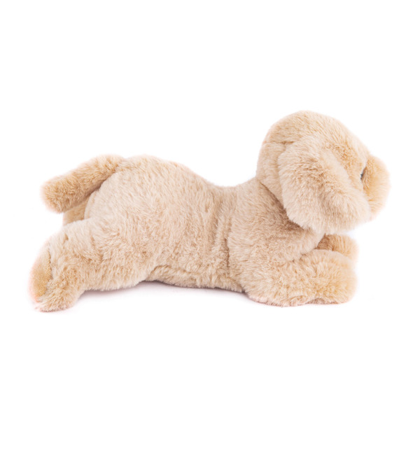 Soft toy Dog Beige (28 cm) – photo #4