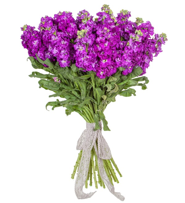 Букет фиолетовой маттиолы (15, 25 или 51) SPBMN264 SAN – фото № 5