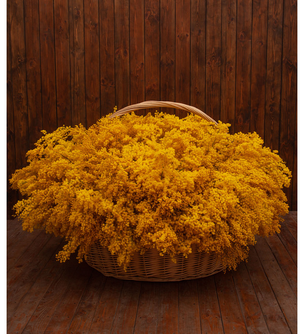 Composition Armful of mimosa – photo #4