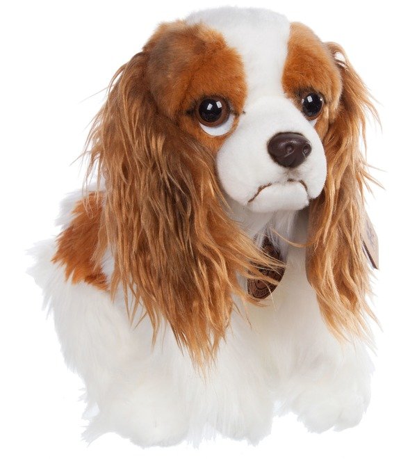 Soft toy Dog Spaniel (26 cm) – photo #1