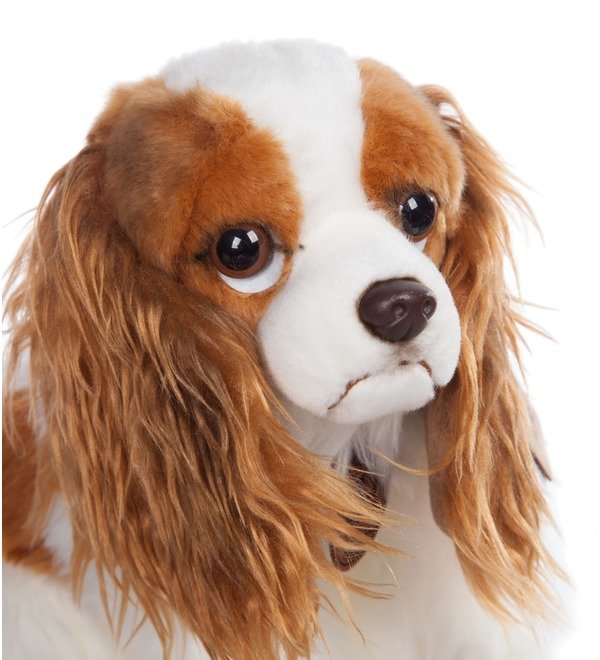 Soft toy Dog Spaniel (26 cm) – photo #3