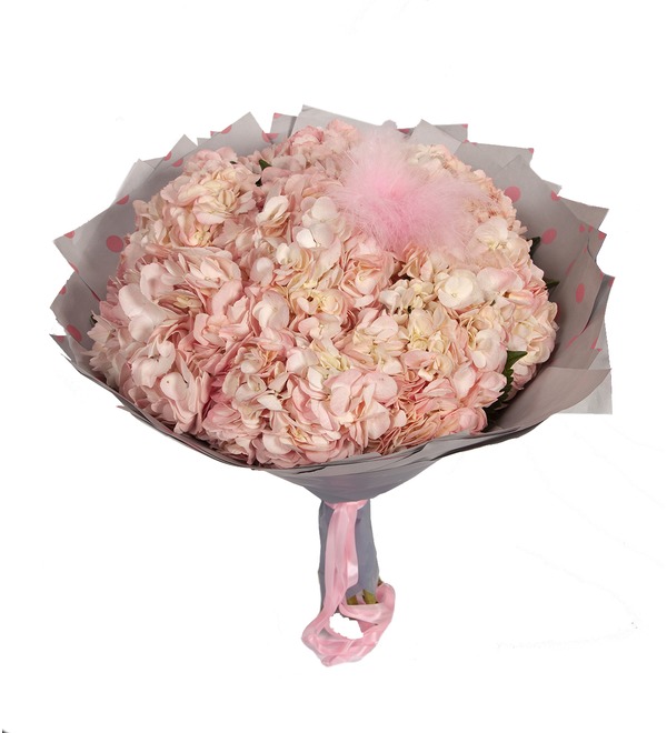 Bouquet-solo Pink hydrangeas (5,7,9 or 15) – photo #4