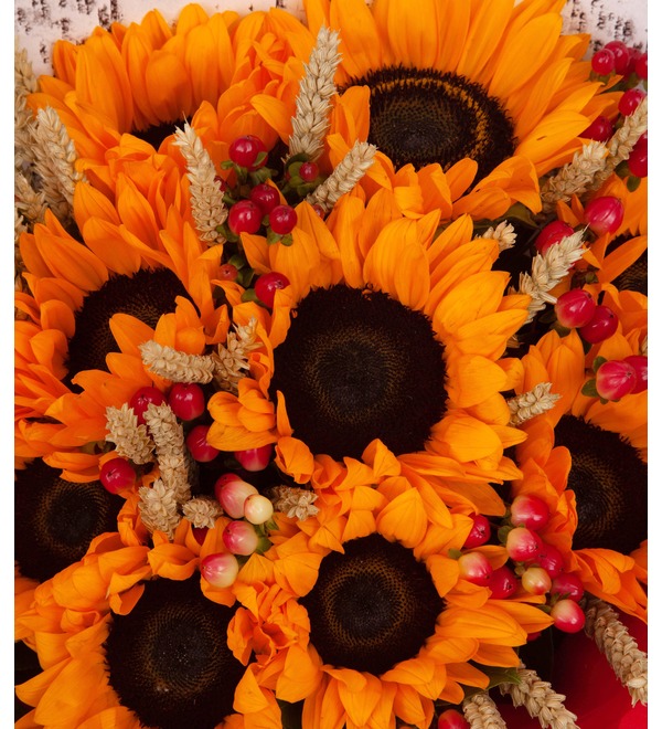 Bouquet-solo Sunflowers (5,7,9,15,25,35 or 51) – photo #2