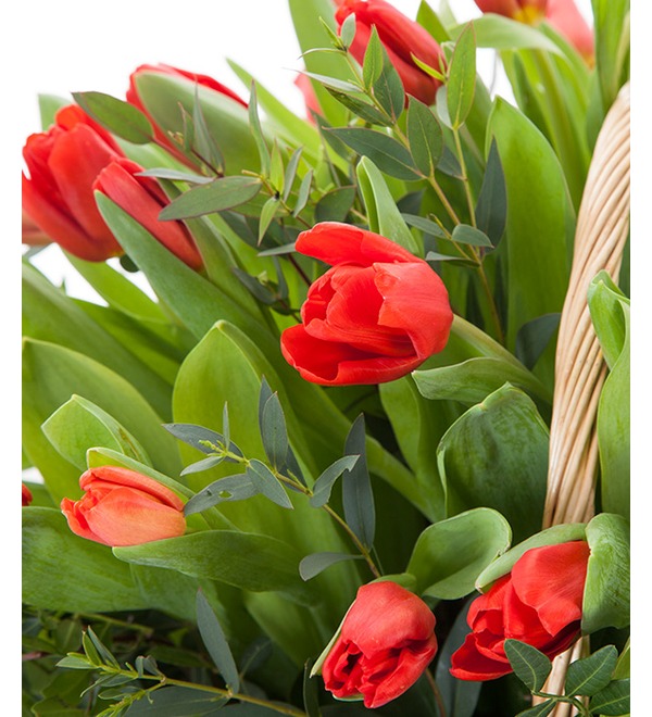Композиция Красные тюльпаны AT738 ZAM – фото № 2
